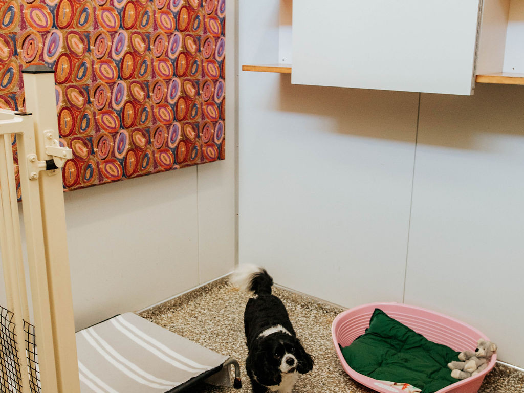 Delux Suite Small Dog Boarding Pet Accommodation Sydney | SmallPaws